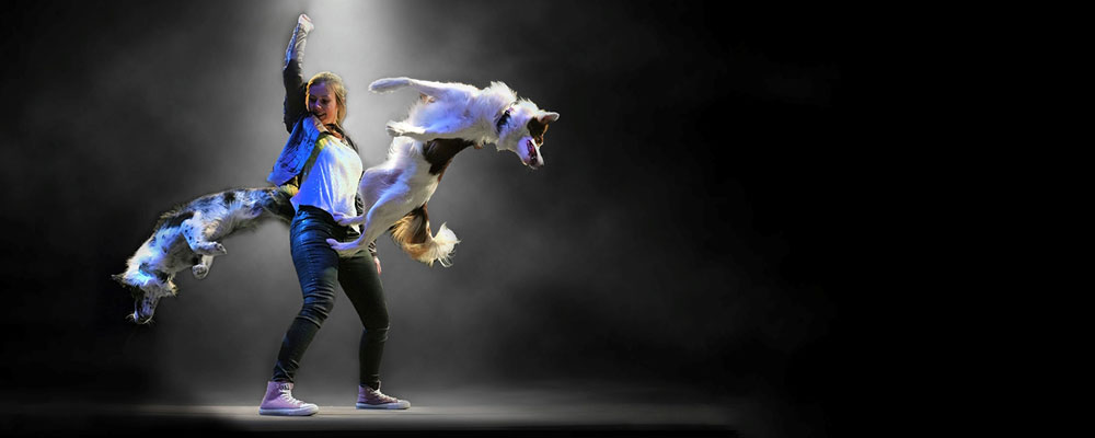 Mutts Gone Nuts photo